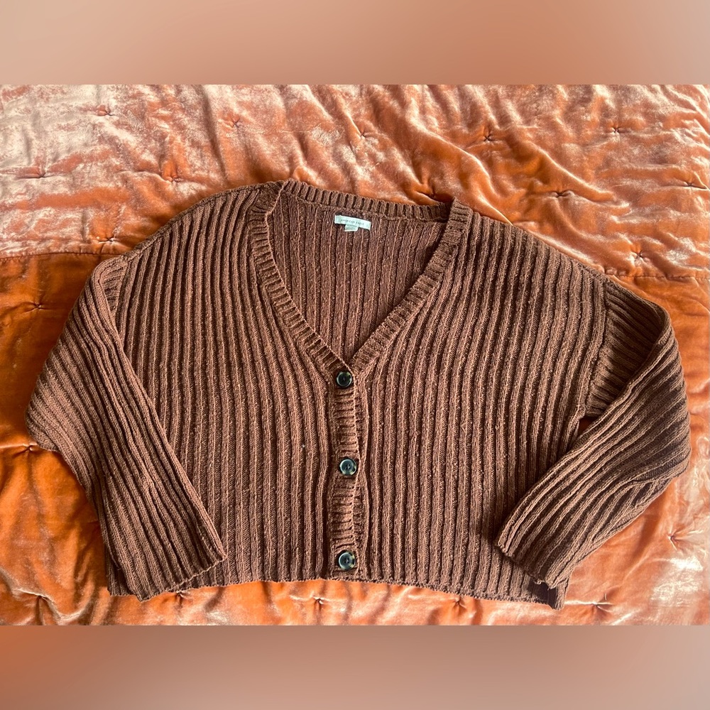 American Eagle Brown Cardigan